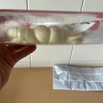 Kapalı Ambalajlı Peynirde Yabancı Böcek Benzeri Madde Ve Çocuk Güvenliği Sorunu