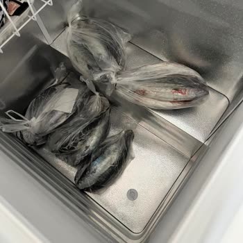 Yeni Dondurucu Alttaki Balıkları Donmadı, Maddi Kayıp Yaşadık