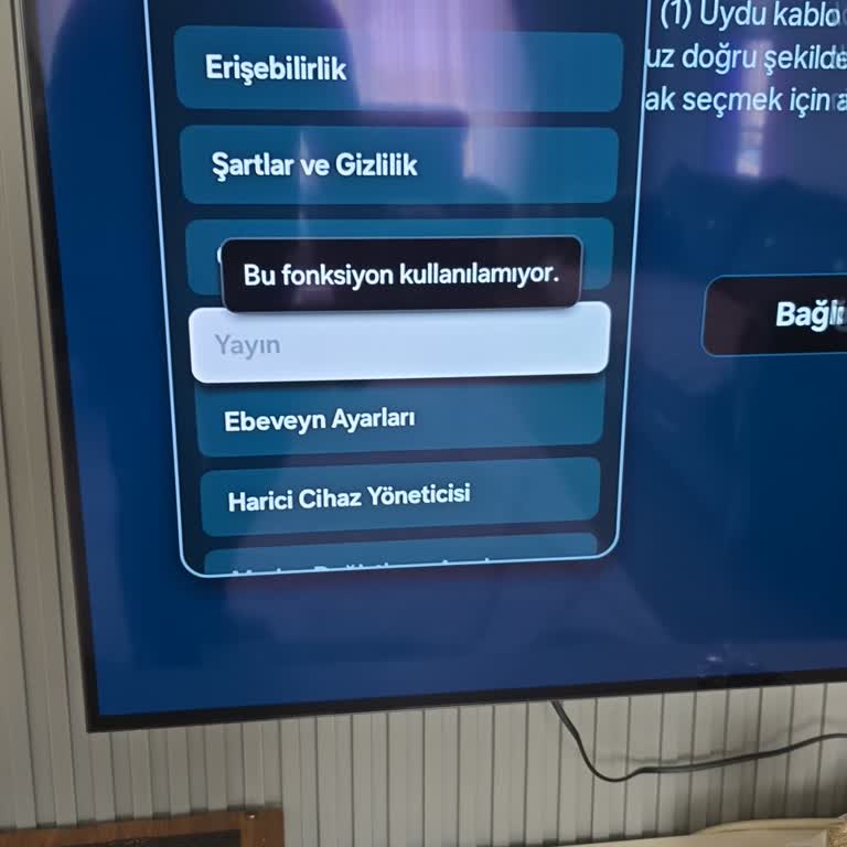 Samsung TV Frekans Ayarı Menüsü Çalışmıyor Ve Destek Cevapsız