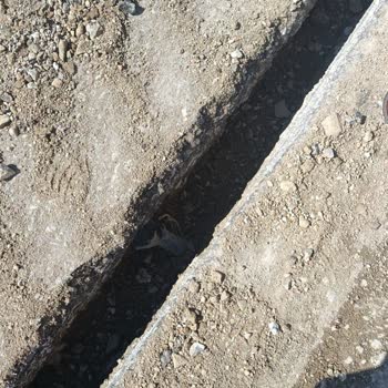 Koparılan Fiber Kablolar Nedeniyle İnternetsiz Bırakıldım Acil Onarım Ve Telafi Talebi