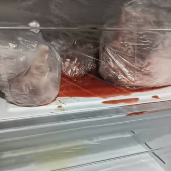 Üç Kez Arızalanan Dondurucu Ve Çöken Gıdalar Nedeniyle Ücret İadesi Talebi