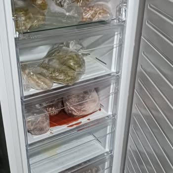 Üç Kez Arızalanan Dondurucu Ve Çöken Gıdalar Nedeniyle Ücret İadesi Talebi