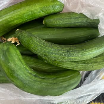 Migros Hemen Siparişindeki Çürük Sebzeler Ve Yetkisiz İade İşlemi