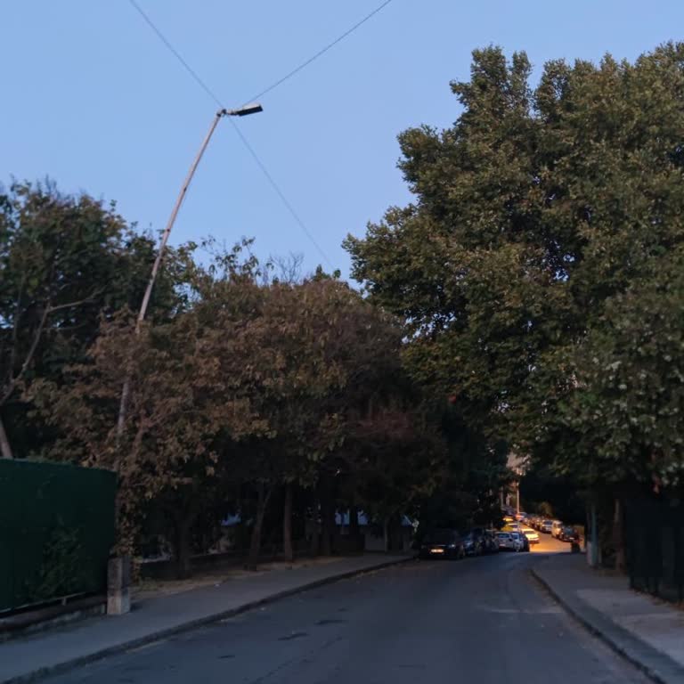 Mehtap Sokakta Aydınlatma Direkleri 9 Aylık Arızalı, Güvenlik Sorunu