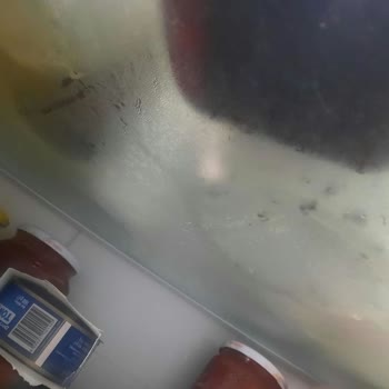 Bosch Buzdolabında Paslanma Ve Gıda Çürümesi Sorunu Ücretsiz Değişim Talebi