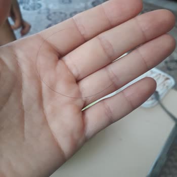 Marka Dondurmasında Kıl Çıkması Hijyen Şikayeti