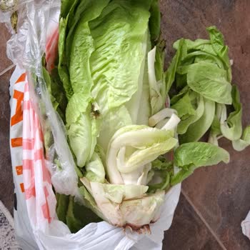 Bolu Migros Hemen Manav Ürünlerinde Tekrarlayan Çürüme Ve Kalite Sorunu