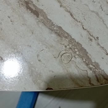 Aras Kargo Evden Alım İhmalı Ve İletişim Sorunu