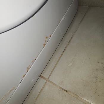 Hijyen Sorunları Nedeniyle Oda Değişikliği Sağlanamadı Ve Ücret İadesi Talebi