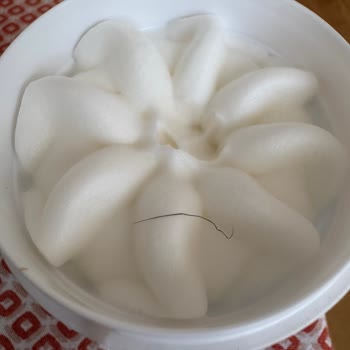 Kase Dondurmanın Üzerinde Siyah Kıl