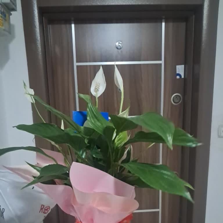 Siparişim Yanlış Blokta Teslim Edildi, Teslim Edildi İddiası Yanıltıcı
