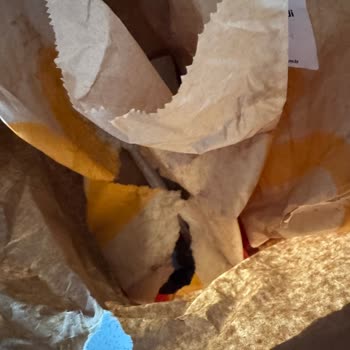 McDonald’s Göztepe Şubesinin Özensiz Paketlemesi Ve Yemeksepeti Müşteri Hizmetinin Yanıt Vermemesi