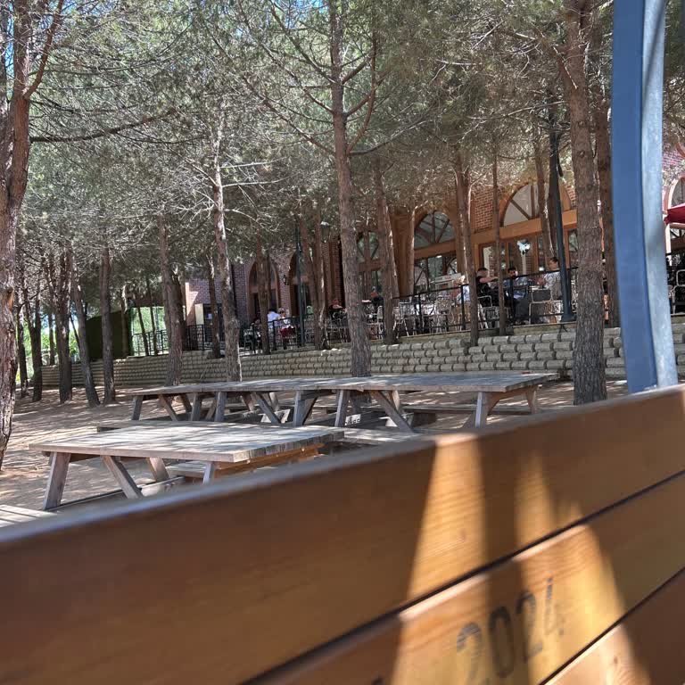 Pencere Cafe Pendik Koru’da Engelli Müşteriye Karşı Saygısız Ve Ayrımcı Davranış