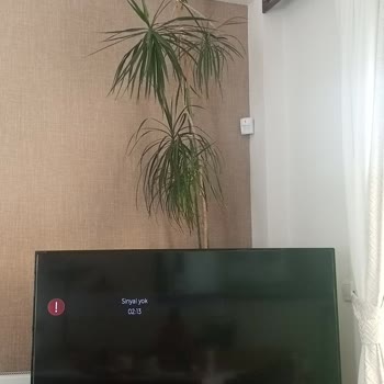 Tivibu Ev Kurulum Gecikmesi Ve Sinyal Yok