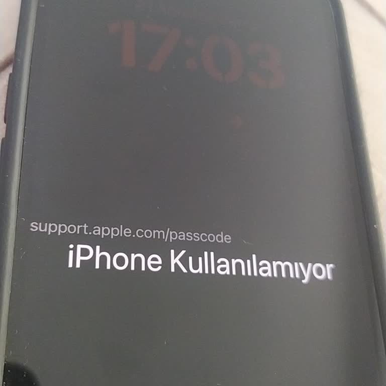 İPhone 13 Şifresi Ve İCloud Parolası Unutulduğu İçin Acil Erişim Talebi