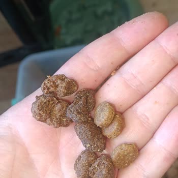 Kirli Ambalaj Ve Bozuk Parçalarla Gelen Purina One Köpek Maması Şikayeti