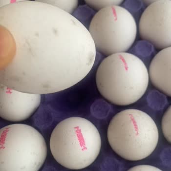 Türem Markalı Yumurtalarda Küflenme Ve Gıda Güvenliği Endişesi