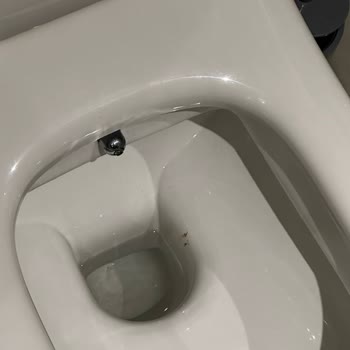 Sağlık Açısından Tehlikeli Plaj Ve Otopark