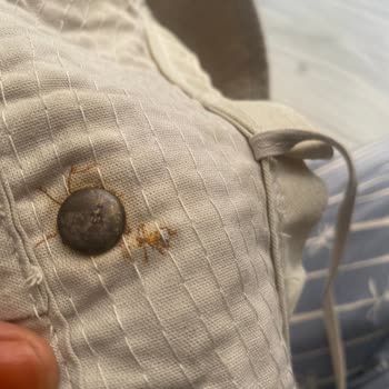 Şapka Çabuk Paslanıyor, Firma Cevapsız Ve İlgisiz