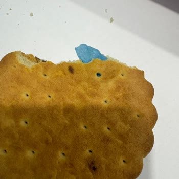 Ülker Çokoprens Bisküvi İçinde Plastik Yabancı Madde