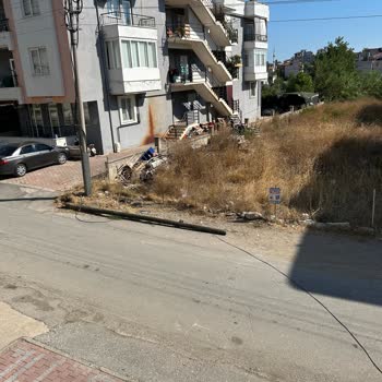 Telefon Direği Yıkıldı, Yol Ortasında Tehlike
