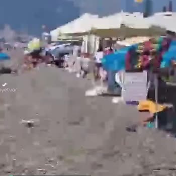 Antalya Büyükşehir Belediyesi Sahilde Sürekli Köpek Olması Sorunu Ve Hamletin Sahili İşgali