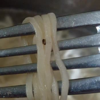 BİM Market’ten Alınan Noodle Paketinde Böcek Bulundu, Hijyen Sorunu