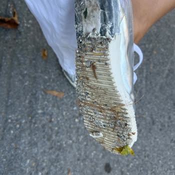 Ayıplı Prada Sneaker İlk Kullanımda Parçalandı, Şirket İadeyi Reddetti