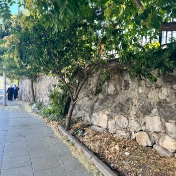 Mollagürani Metro Çevresinde Çamur, Çöp Ve Peyzaj İhmali