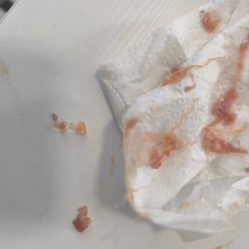 Köfte İçindeki Plastik Poşet Parçaları Sağlık Korkusuna Neden Oldu