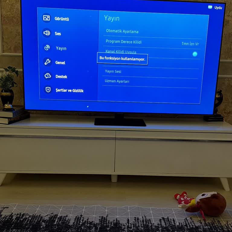 Samsung TV'de Yayın Fonksiyonu Çalışmıyor Ve Müşteri Hizmetleri Cevapsız