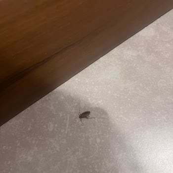 Grannos Termal Otel’de Kirli Oda Ve Hijyen Sorunları, İlgisiz Personel Nedeniyle İade Talebi