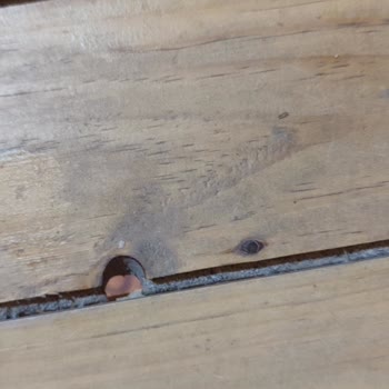 Temizlik Ve Gürültü Sorunları Nedeniyle Beklentilerin Altında Otel Konaklaması
