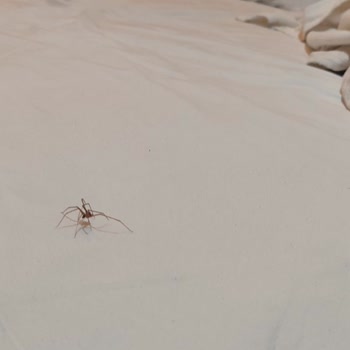 Temizlik Ve Gürültü Sorunları Nedeniyle Beklentilerin Altında Otel Konaklaması