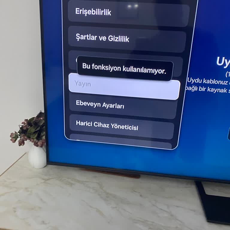 Samsung TV’de Yayın Fonksiyonu Kullanılamıyor Ve Çözüm Talebi