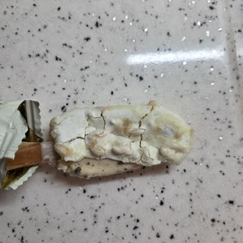Küflü Algida Magnum Mini Dondurmalara İade Ve İnceleme Talebi