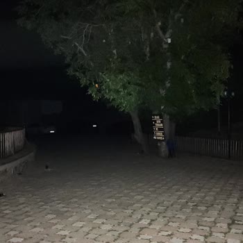 Yahyalı Belediyesinin Şelalesinde Ücretli Girişe Rağmen Aydınlatma Yok Ve Bakımsız Alanlar