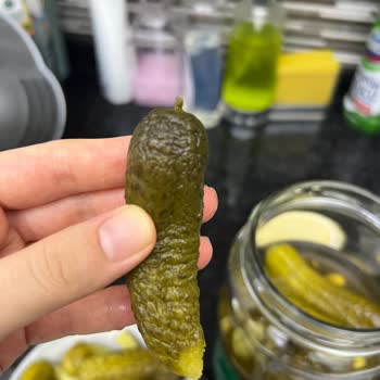 Tukaş Turşusunun Kavanozda Pörsümüş Ve Buruşmuş Olması