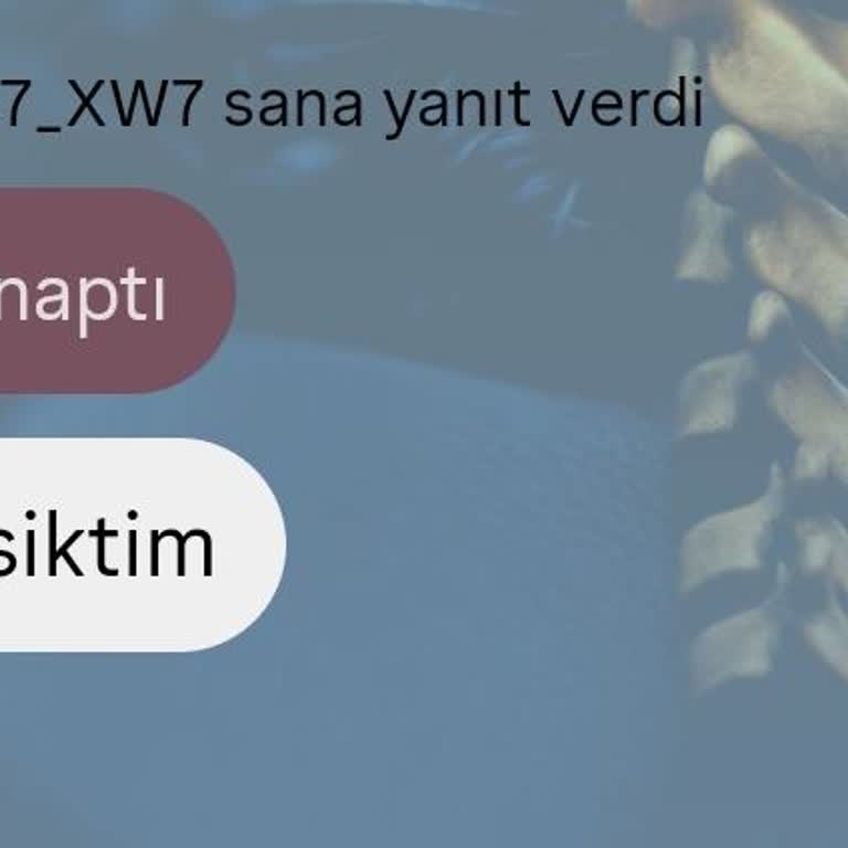 Instagram’da Sürekli Hakaret Ve Küfür Mesajları Gönderilmesi, Hesabın Kapatılması Talebi