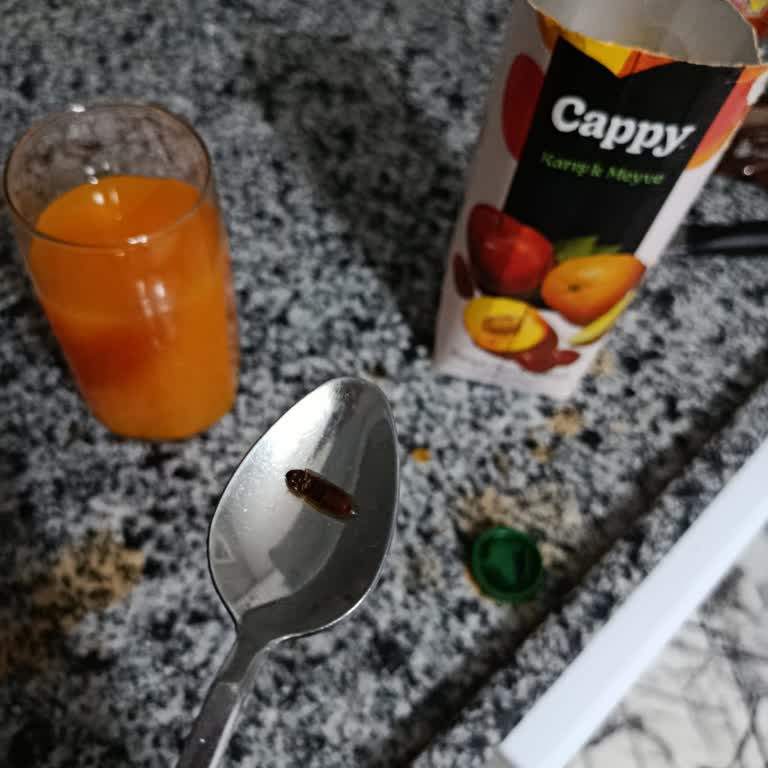 Kapalı Kutuda Ölü Böcek Bulunan Cappy Meyve Suyu İçin Üretim Kontrolü Talebi