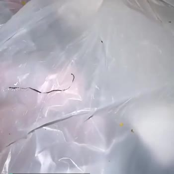 Mogaf Hatay Döner İçinden Bulaşık Teli Çıktı