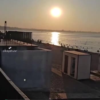 Antalya Büyükşehir Belediyesi Konyaaltı Plajında Başıboş Kedi Ve Dışkılama Sorunu