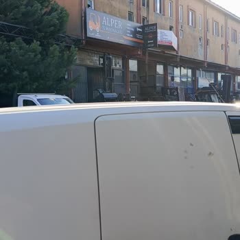 Tuzla'da Çocukları Saldıran Köpekler İçin Derhal Önlem Gerekiyor
