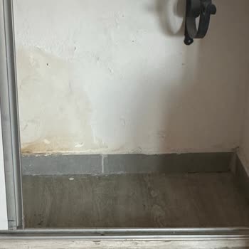 Odada Yarasa Görülmesi Ve Yetersiz Güvenlik Müdahalesi