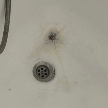 Odada Yarasa Görülmesi Ve Yetersiz Güvenlik Müdahalesi