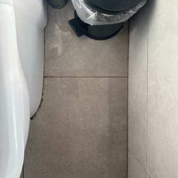 Odada Yarasa Görülmesi Ve Yetersiz Güvenlik Müdahalesi