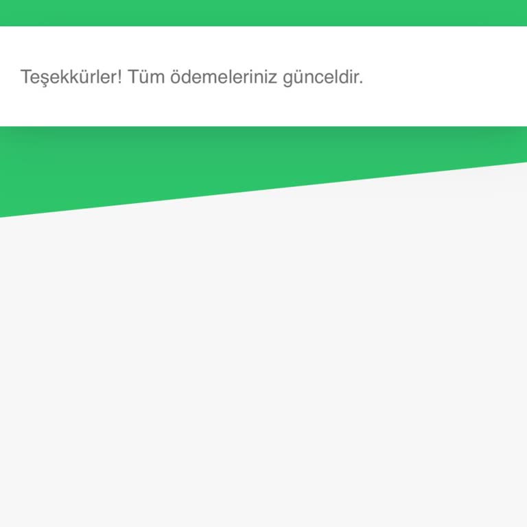 CV Maker Tek Seferlik Ödemeye Rağmen Aylık Ücret Çekilmesi İstemiyorum