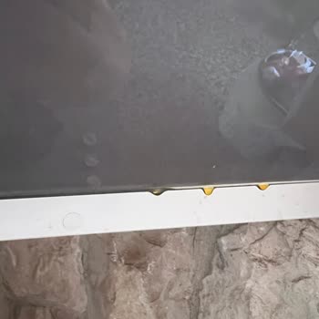 Kirli Ve Haşereli Airbnb Konaklaması İçin Tam İade Talebi