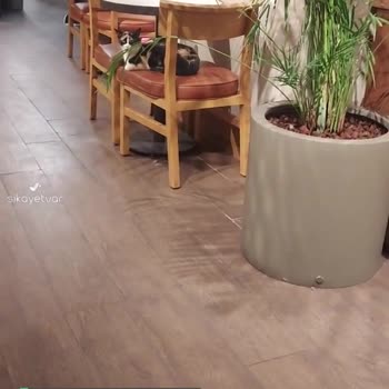 Kahve Dünyası Eyup Sultan Mağazada Kedi Sorunu