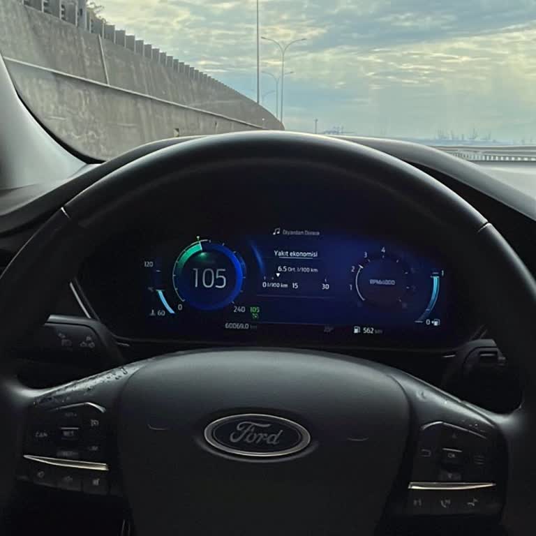 Ford Focus Direksiyon Parçası Soyulma Sorunu Ve Garanti Talebi